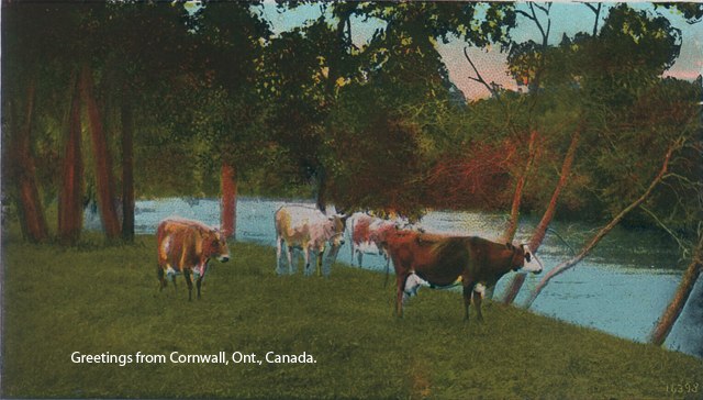 Tourist card, Cornwall, Ontario